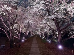 -凤凰沟景区