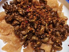 -园林美食城·本土农家菜(杨和镇店)