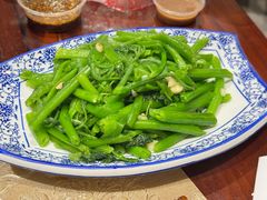 -金龙寨(解西店)