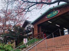 -神户市立六甲山牧场
