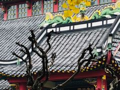 -四川大学(华西校区)