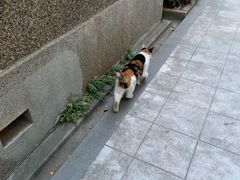 -巴金故居