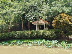 -火炉山森林公园