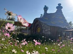 -水上乐园·欢乐世界