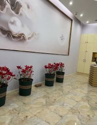 -紫琪尔胸部养护中心