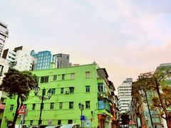 -洪馨椰子