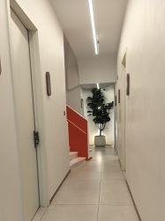 点击看大图 -WENDY·温迪皮肤管理