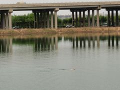 -丁香湖公园