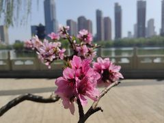 -迎泽公园