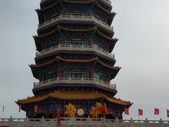 -金塔沙漠胡杨林景区