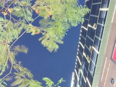 -沪上阿姨鲜果茶(桥头地铁站店)
