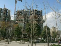 -南翔镇银翔湖公园