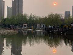 -前关湿地公园