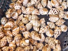 -粤盛海鲜平价店(洛溪食街店)