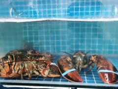 -宾朋海鲜特色美食餐厅·纯手工鲅鱼水饺(兴海路店)