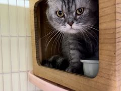 -CLUE演绎实景剧本杀(江南西店)