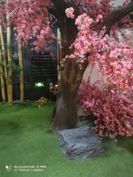 -盘子女人坊生日照·摄影馆(华强店)
