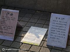 -人民公园-相亲角