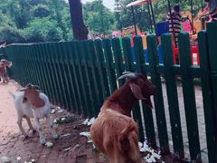 -无锡动物园·太湖欢乐园