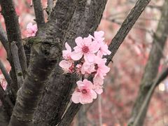 -洋湖国家湿地公园