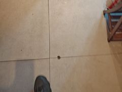 -荆九爷爆炒桥头三嫩(浙大店)