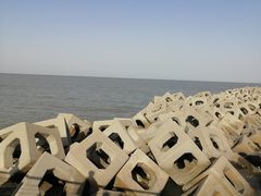 -东疆建设开发纪念公园