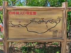 -茅兰沟国家森林公园
