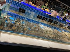 -加餐海鲜自助(集美银泰百货店)