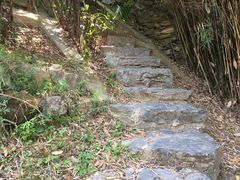 -广州神农草堂中医药博物馆