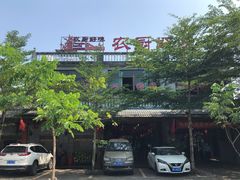-农厨好味·温泉鹅·农家菜