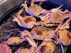 -阳光牧场自助餐厅(宝德购物中心店)