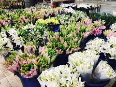 -双季花艺园艺市场(浦东店)