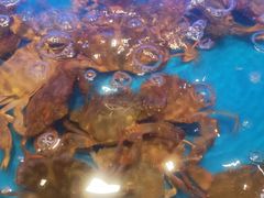 -SEA西雅图海鲜自助餐厅(海乐世界店)