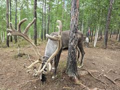 -北极村旅游风景区