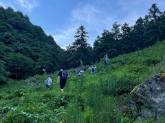 -东白山