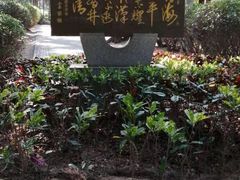 -宋井风景区