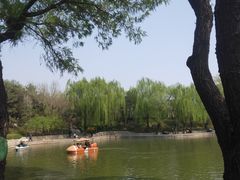 -团结湖公园