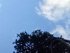 -小锅巴纳西餐厅