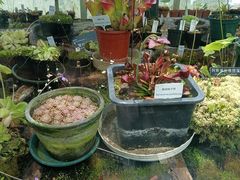 -国家植物园南园