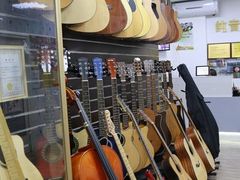 -纯音琴行(天河区车陂分店)