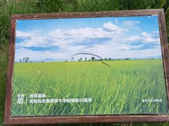 -敕勒川草原