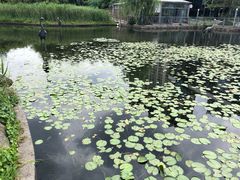 -苏州河梦清园环保主题公园