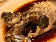 -利苑酒家(合景国际金融广场店)