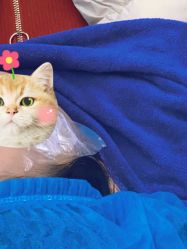 -重庆联合丽格第五医疗美容医院