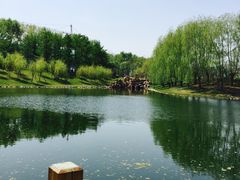 -长春公园(普阳街道)