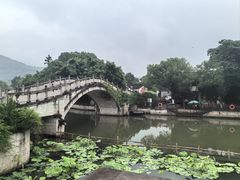 -绍兴大禹开元观堂-若耶厅