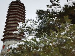 -西海子公园