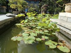 -西宁市人民公园(城西区)