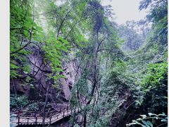 -大岭沟猕猴桃谷风景区