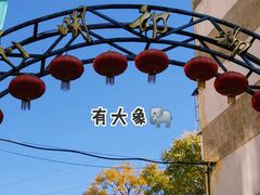 -昆明动物园